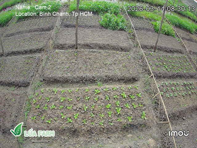 Nông trại có camera – điểm khác biệt của gói rau tháng 749K