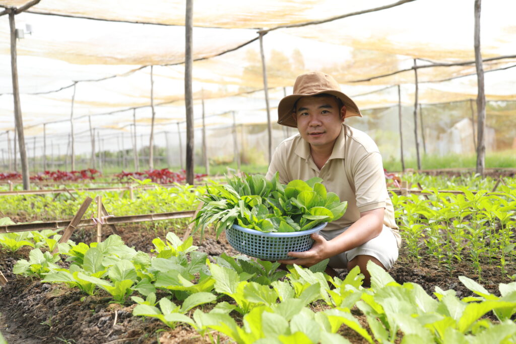 gói rau sạch tiện lợi