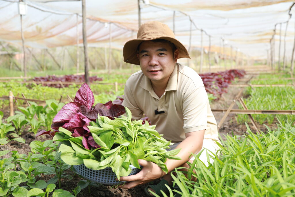 Combo rau 5kg chỉ 99K – tiết kiệm và linh hoạt