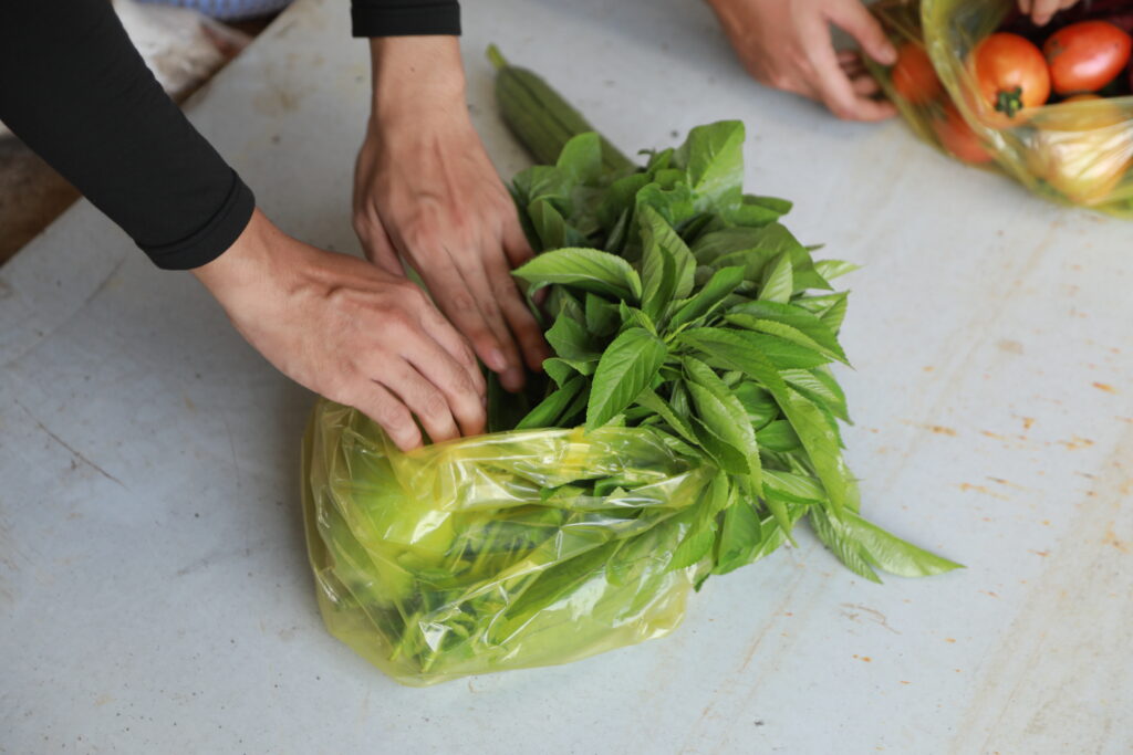 Lựa Chọn Rau Đúng Cách