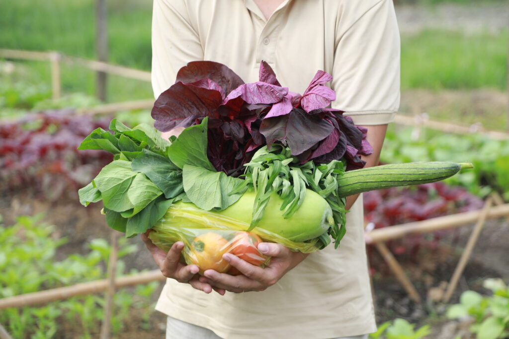 Gói Rau Tháng Nông Sản Sạch