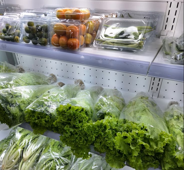 Bảo Quản Rau Đúng Cách