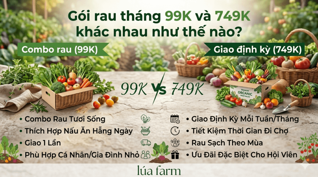 So sánh gói rau tháng 99K và 749K tại Lúa Farm