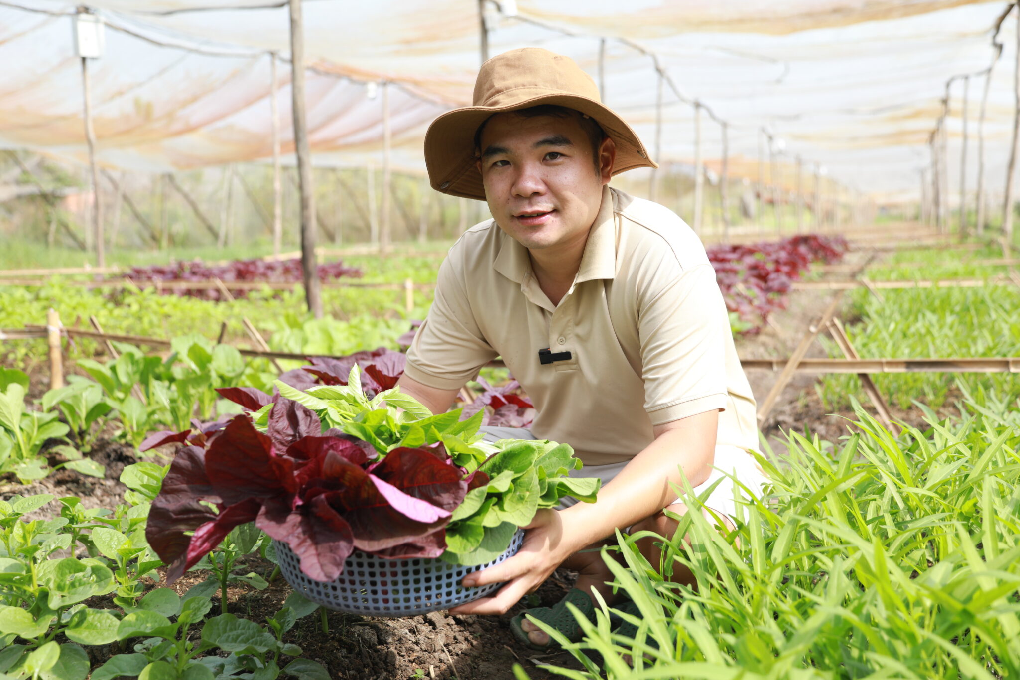 Gói Rau Tháng - Rau Sạch Giao Tận Nhà Cho Gia Đình