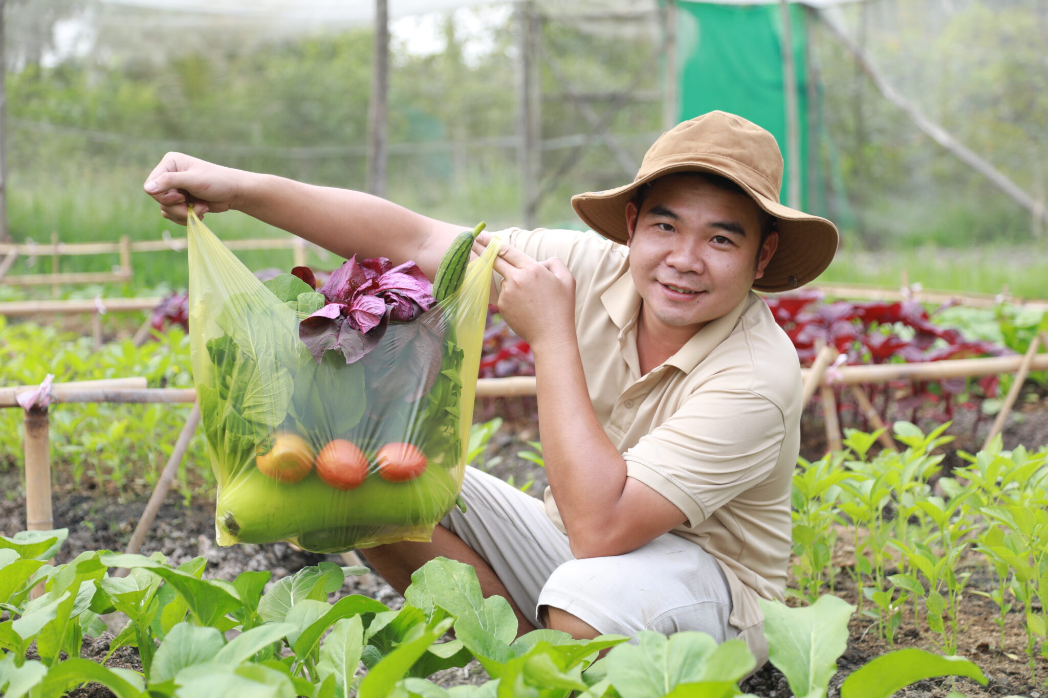 Đặt rau online giao tận nhà: Giải pháp an toàn cho bữa cơm gia đình hiện đại.
