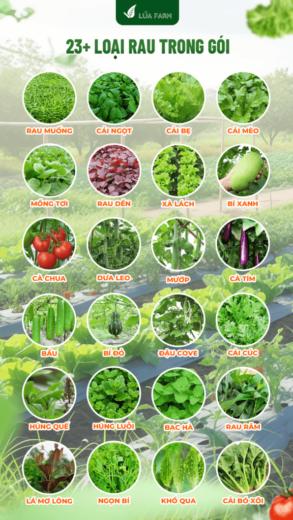 Menu rau đa dạng trong gói rau tháng Lúa Farm