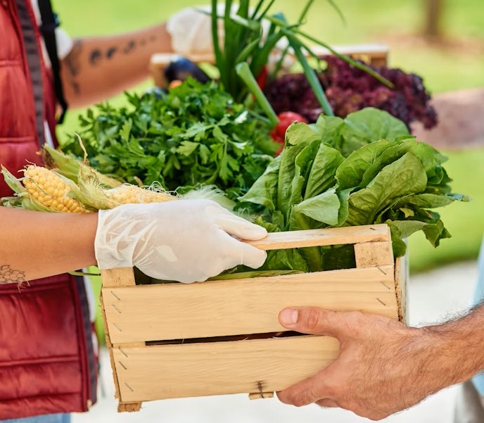 Rau Giao Tận Nhà Có Tiện Không? [Review] 5 Lợi Ích & Sự Thật