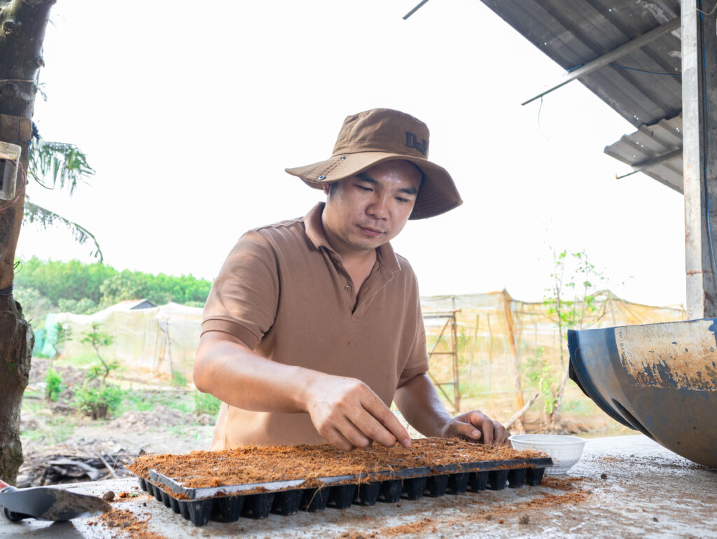 Gói rau tháng 749K tại Lúa Farm mang đến nguồn thực phẩm sạch, minh bạch từ nông trại đến bàn ăn
