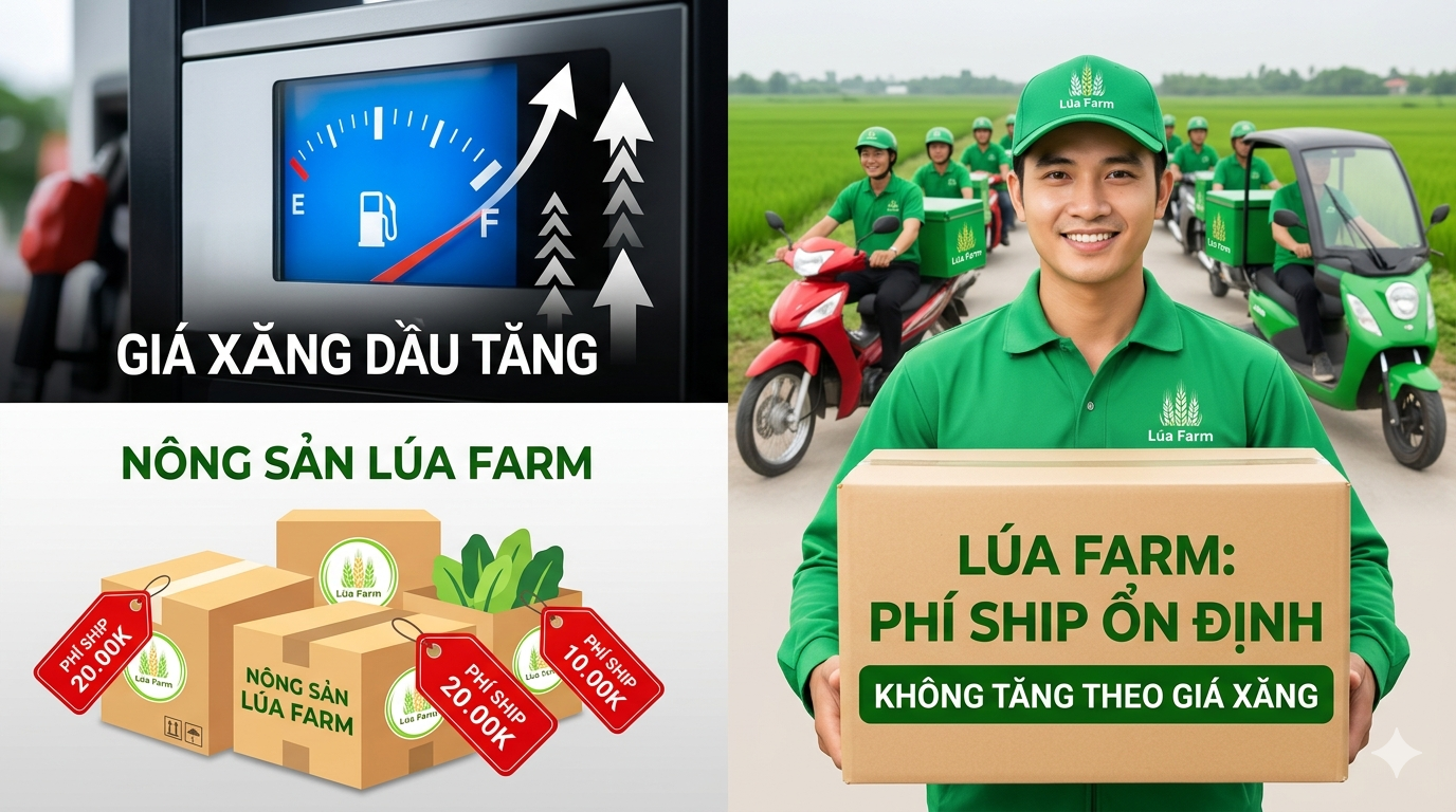Phí ship rau sạch có tăng theo giá xăng? Khám phá mức phí ổn định tại Lúa Farm và cách tiết kiệm chi phí giao rau mỗi ngày.